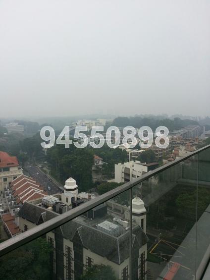 St. Regis Residences (D10), Apartment #86845002